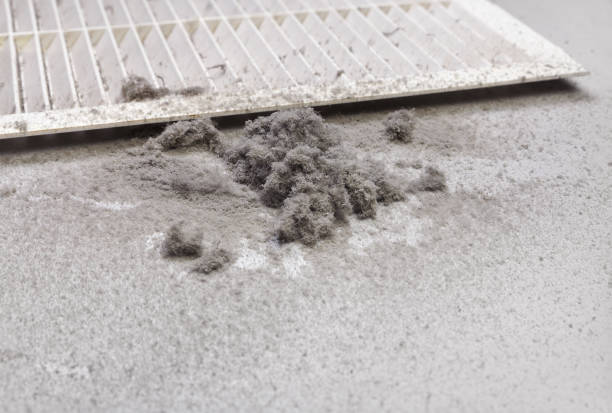 Best Affordable Air Duct Cleaning  in Garden Grove, CA